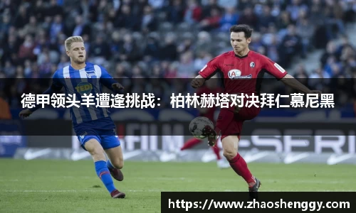 快盈VIII平台官网