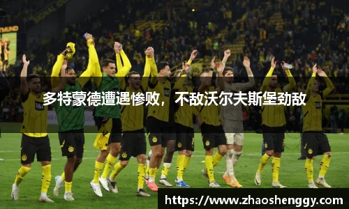 快盈VIII平台官网