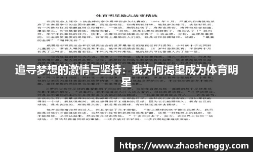 快盈VIII