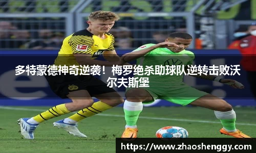 快盈VIII平台官网